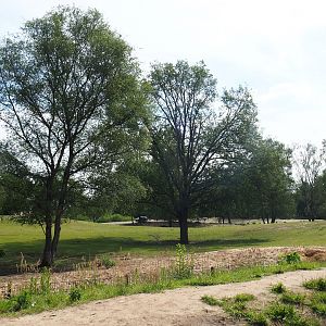 Multi-hectare mixed savanna exhibit seen from the walking safari, 2022-06-12