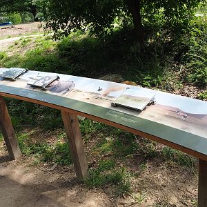 Educational signage about savanna species and ecosystems, 2022-06-12