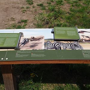 Educational signage about savanna species and ecosystems, 2022-06-12