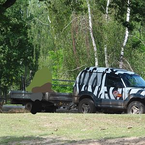 Animal service vehicle, 2022-06-12