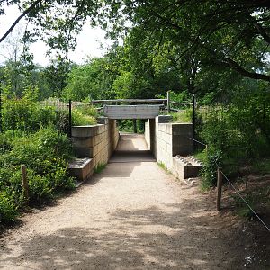 Walking safari tunnel underneath car safari road, 2022-06-12