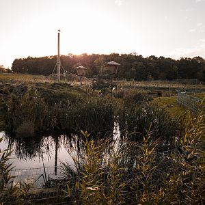Binturong and Indochinese Smooth-Coated Otter enclosure
