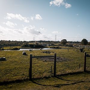 Smaller Polar Bear complex