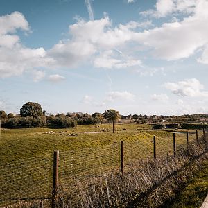 Main Polar Bear complex - Enclosure 1