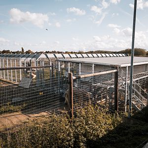 Main Polar Bear complex