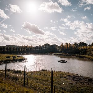 Main Polar Bear complex - Enclosure 2
