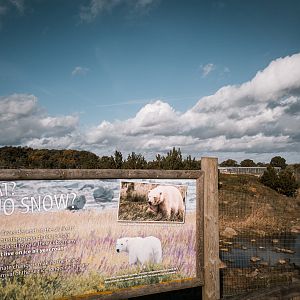 Main Polar Bear complex - Enclosure 3