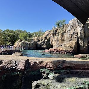 Galápagos Islands - California Sea Lion Habitat