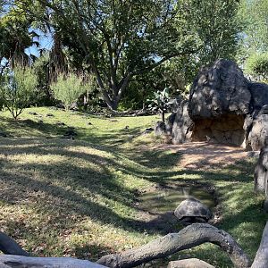 Galápagos Islands - Galápagos Tortoise Yard (one of two)