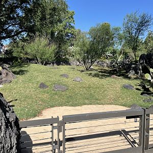 Galápagos Islands - Galápagos Tortoise Yard (one of two)