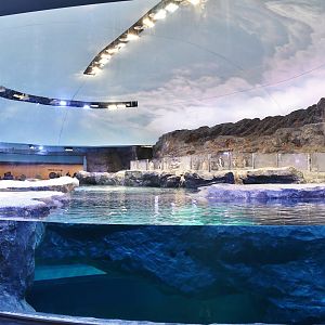 Penguin Cove upper level