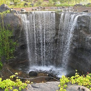 Waterfall at Mandai Wildlife West
