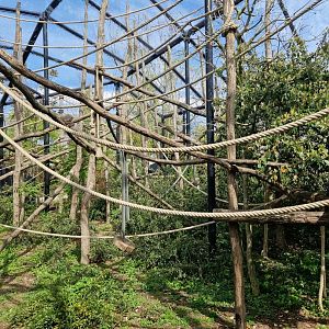 Woolly Monkey exhibit