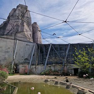 Great Rock African Walkthrough Aviary