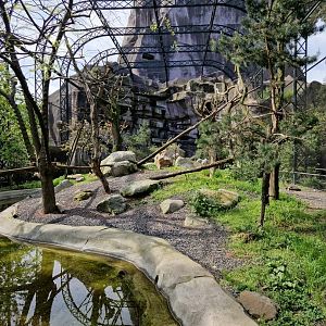 Birds of Pray Aviary