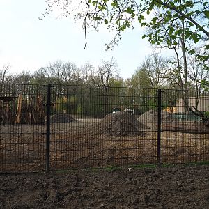 New Somali wild ass - Dorcas gazelle - Ostrich paddock construction site, 2022-04-18