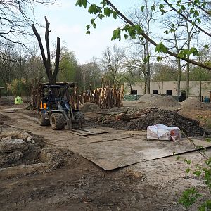 New Somali wild ass - Dorcas gazelle - Ostrich paddock construction site, 2022-04-18