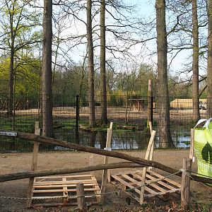 New Somali wild ass - Dorcas gazelle - Ostrich paddock construction site, 2022-04-18