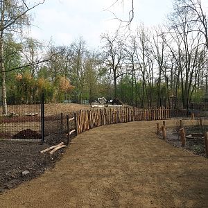 New Mountain bongo - Kirk's dik-dik paddock and Renovated walkway construction site, 2022-04-18