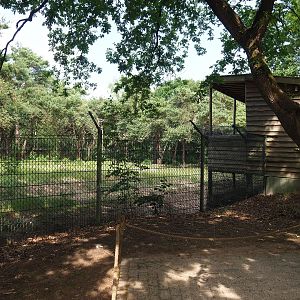 Cheetah viewing area, 2022-06-12