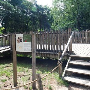 Spotted hyena viewing area, 2022-06-12