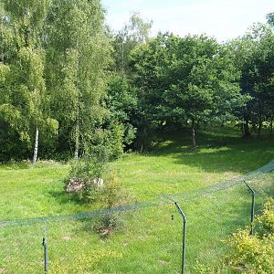 Southern cheetah exhibit, 2022-06-12
