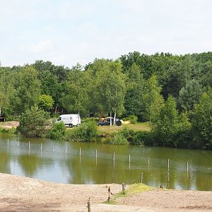 Southern cheetah drive-through exhibit, 2022-06-12