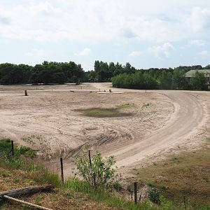 Southern white rhinoceros, Ankole-Watusi cattle, Common eland and Blesbok plains, 2022-06-12