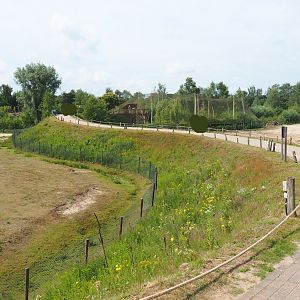 Walking safari dyke between sections of the white rhinoceros plains - Since removed during renovation, 2022-06-12