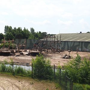 Exhibit for secondary group of Hamadryas baboons next to chimpanzee and gorilla building, 2022-06-12