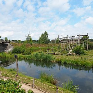 Chimpanzee island, 2022-06-12