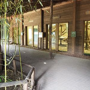 Viewing area for indoor chimpanzee exhibit, 2022-06-12