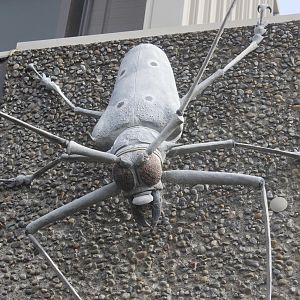 Exterior giant model of Longhorn Beetle