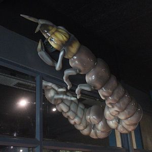 Giant model of Caddisfly larva