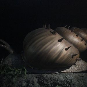 Giant model of Snail