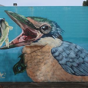 Mural of Sacred Kingfisher, Main Street, Palmerston North