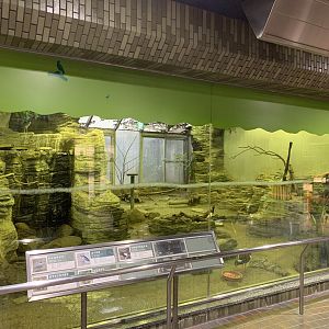 Bird House Exhibit 1 Viewing