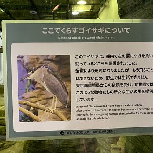 Night-heron Sign