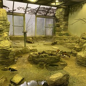 Bird House Exhibit 1