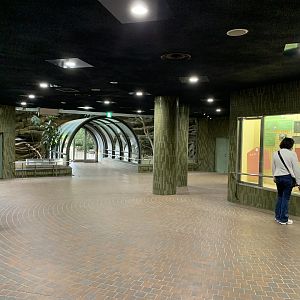 Bird House Ground Floor