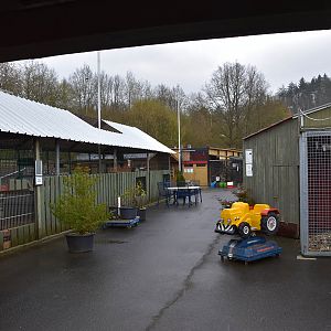 General view, Lion-tailed macaque cage on the left