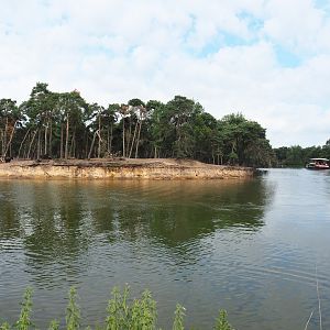 Domestic yak exhibit and safari boat canal, 2022-06-12