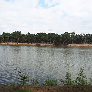 Domestic yak exhibit and safari boat canal, 2022-06-12