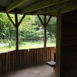 Viewing area for mixed African aviary, 2022-06-12