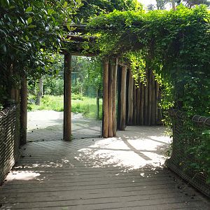 Access to crocodile and hippopotamus house and viewing windows for Amur tiger side exhibit, 2022-06-12