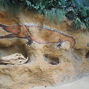 Nile crocodile education wall, 2022-06-12