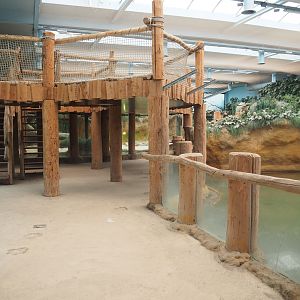 View in the Nile crocodile/Hippopotamus house,  2022-06-12