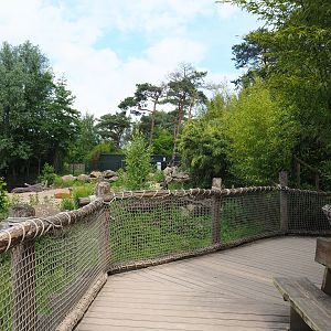 Hippopotamus, Nile lechwe and Marabou exhibit viewing area, 2022-06-12