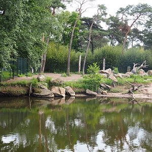 Hippopotamus, Nile lechwe and Marabou exhibit - Nile lechwe and marabou separation area not accessible to hippos, 2022-06-12