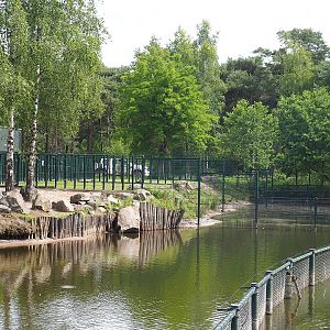 Hippopotamus separation exhibits, 2022-06-12